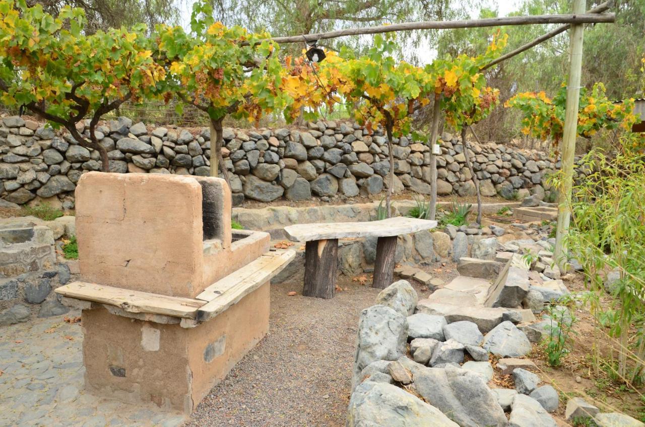 Cabanas Ahopiedra Vicuña Extérieur photo